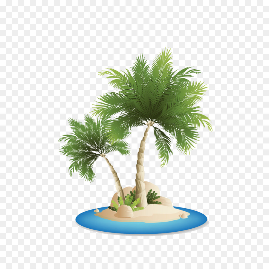 Palm Đảo Arecaceae Clip nghệ thuật - cây dừa