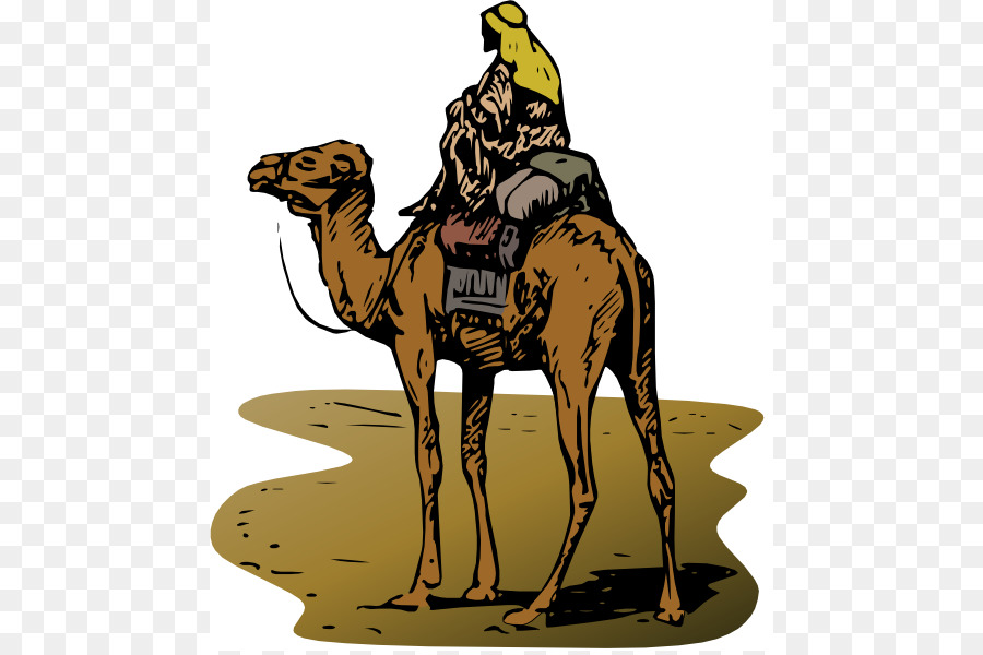 Silk Road Online-Marktplatz Bitcoin Illegalen Drogenhandel - Camel Cliparts
