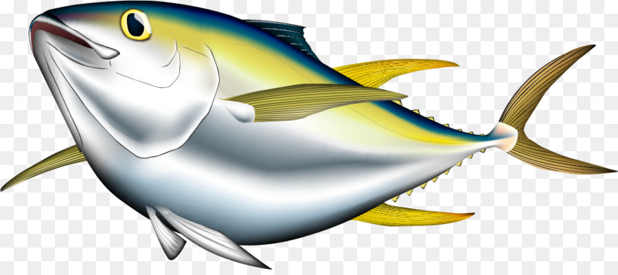 Bigeye tuna Albacore Pacific bluefin tuna Yellowfin tuna Illustration - Cartoon-Fisch Meeresfrüchte