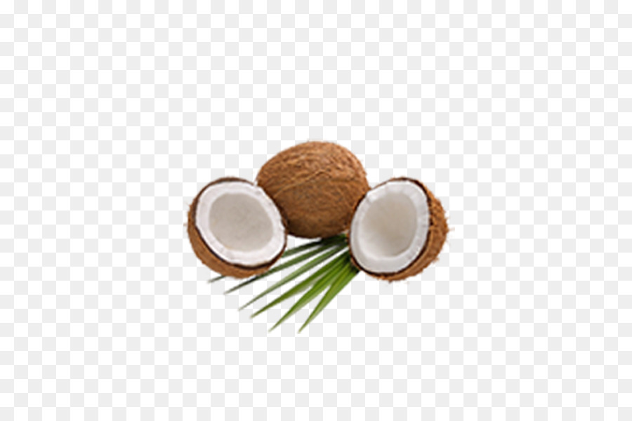 Bio-food Kokos öl Coconut milk powder - Kokos