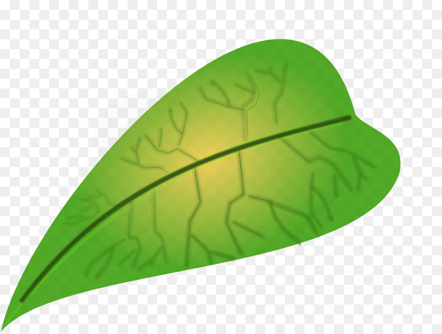 Blatt-Biologie-clipart - Große Blätter Cliparts