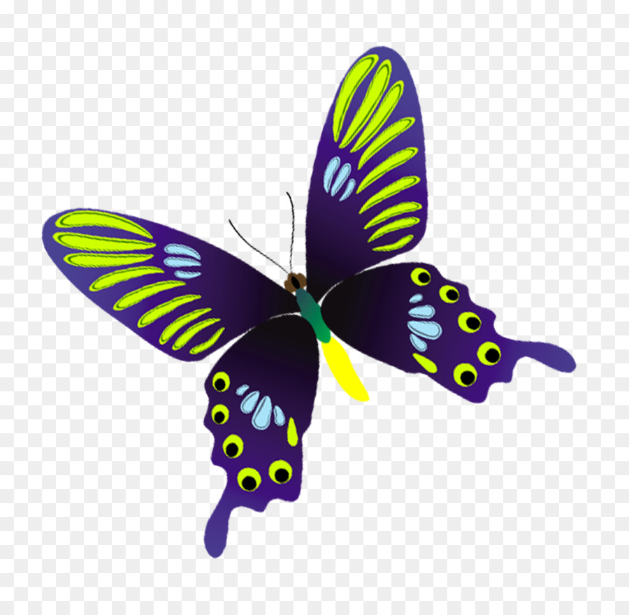 ClipArt farfalla monarca - verde farfalla
