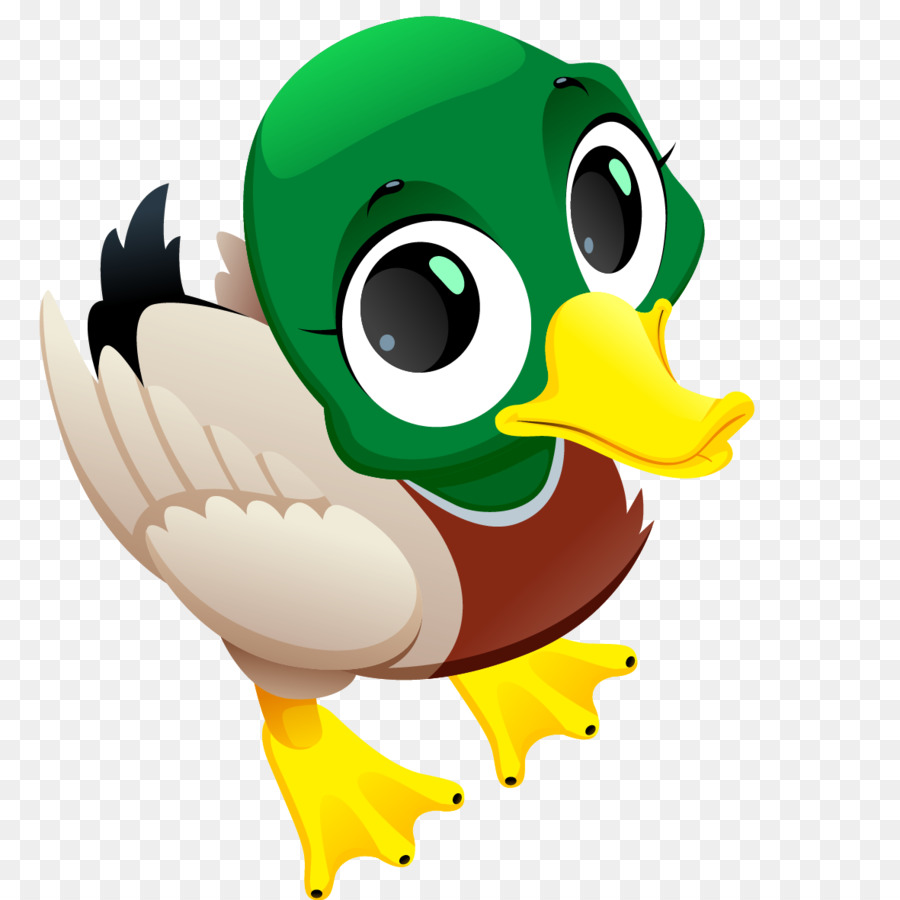 Duck Cartoon png download - 1181*1181 - Free Transparent Duck png Download.  - CleanPNG / KissPNG