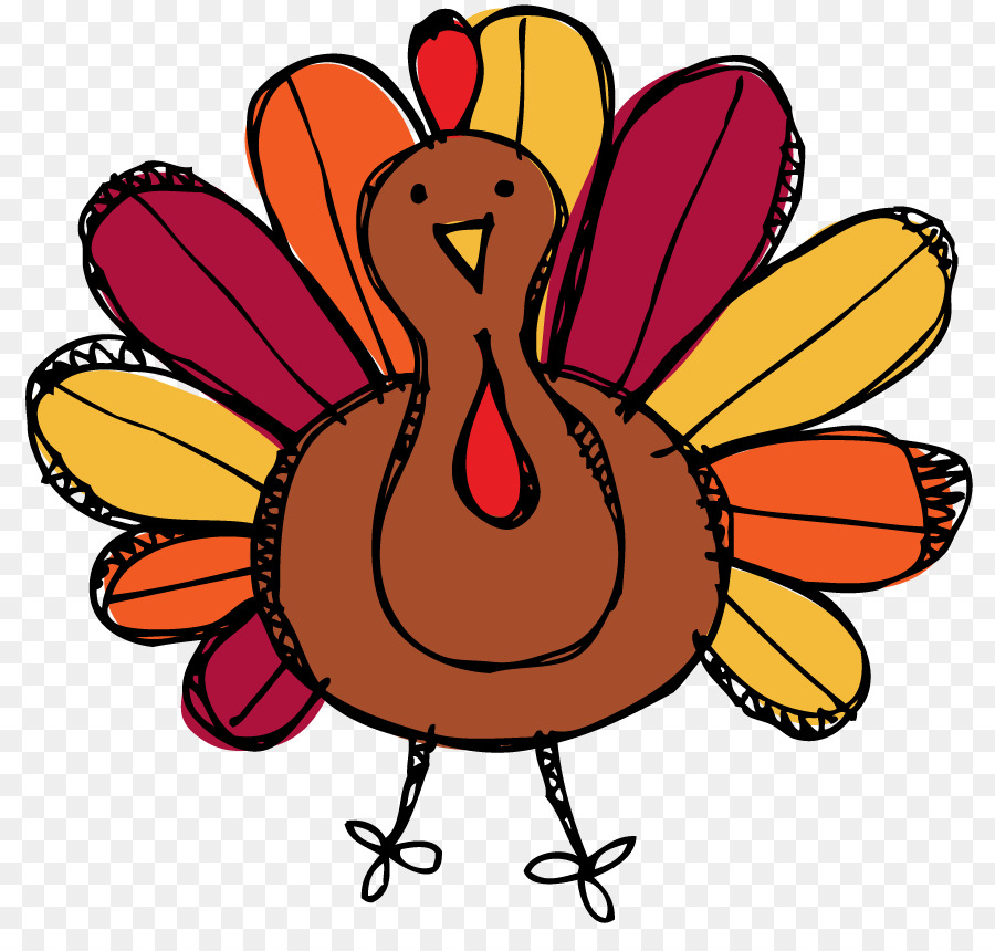 Thanksgiving Turkey  Drawing  png download 873 845 Free 