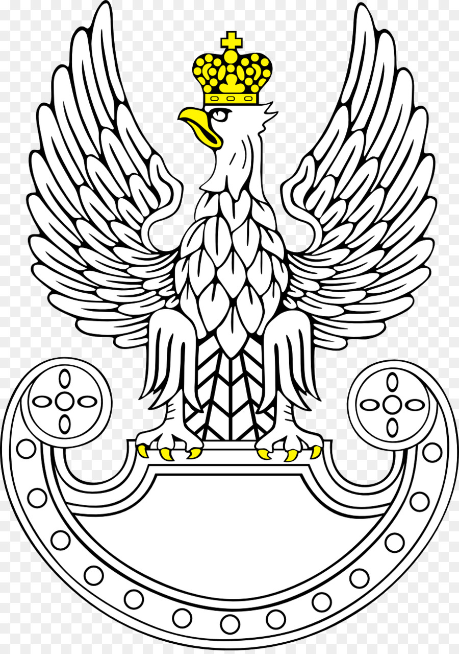 Polonia In Terra Polacca Forze Armate Polacche Forze Di Difesa Territoriale Forza Polacco Forze Speciali - Incoronato uccelli