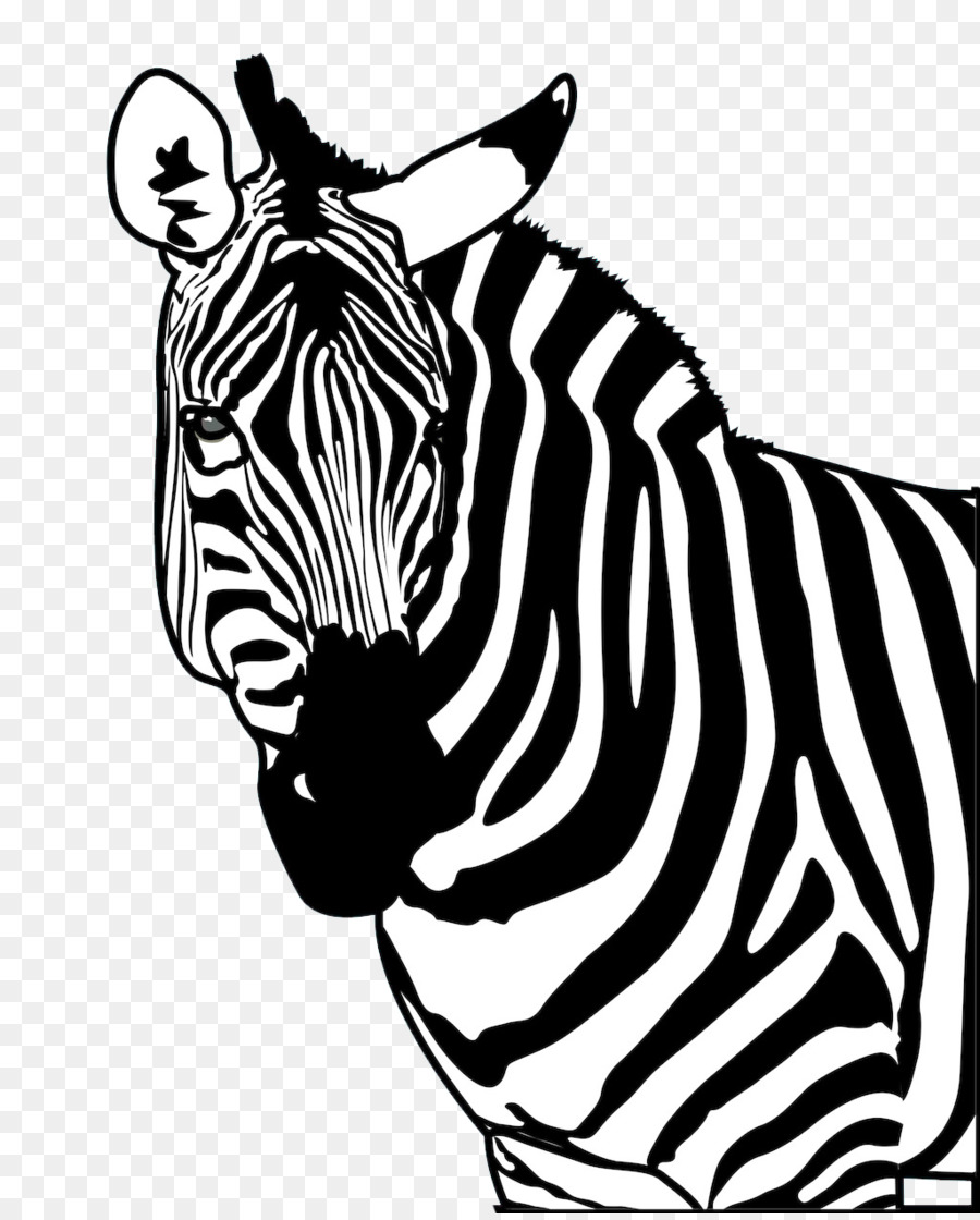 Zebra Cartoon png download - 1024*1268 - Free Transparent Zebra png  Download. - CleanPNG / KissPNG
