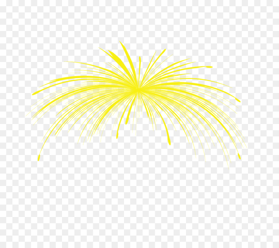 Grafik-design Feuerwerk - Feuerwerk