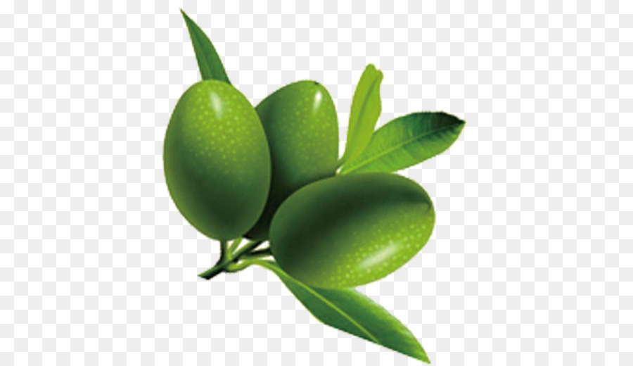 olio di oliva - olive