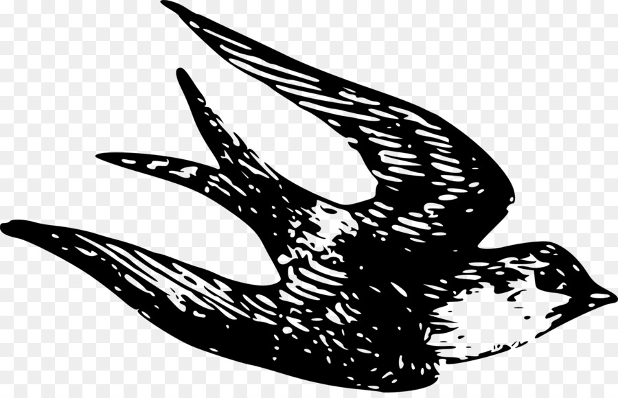 Swallow Symbol