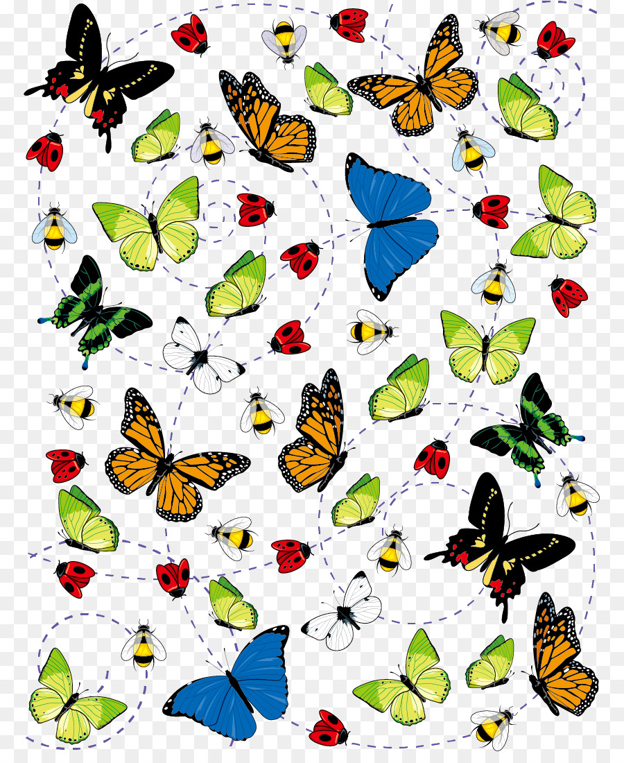 Insekt Butterfly Illustration - Vektor-Schmetterling