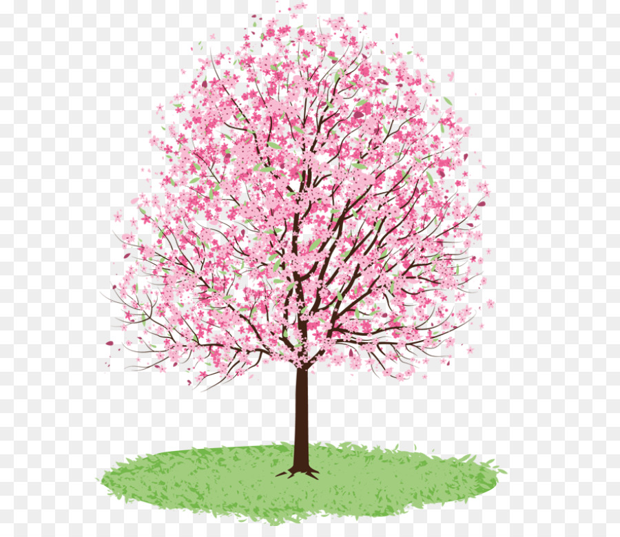 Baum, Kirschblüte, Frühling clipart - Frühjahr Bäume Cliparts