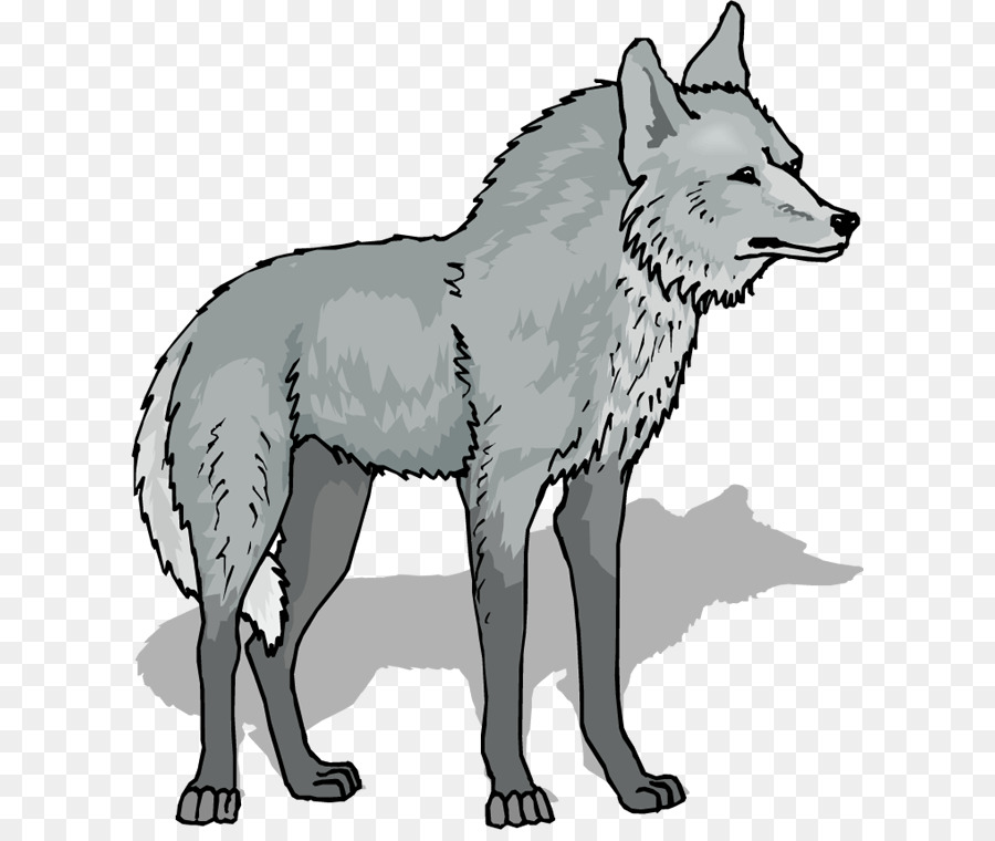 Wolf Cartoon png download - 662*750 - Free Transparent Gray Wolf png  Download. - CleanPNG / KissPNG