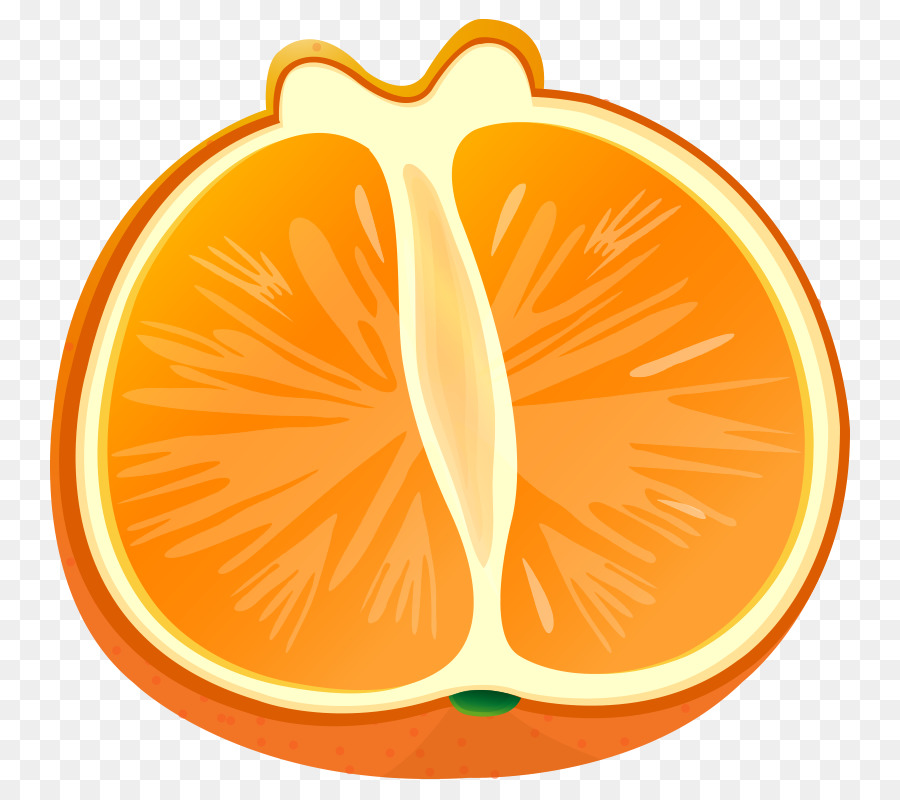 Orange Rau quả Bưởi Clip nghệ thuật - thực phẩm,trái cây và rau Dưa trái cây và rau ngon