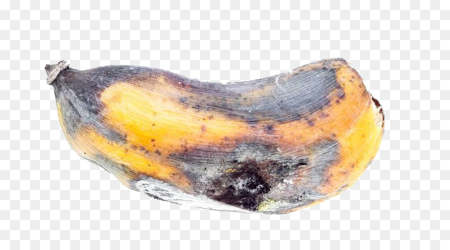 Banana fotografia di Stock Auglis - Ammuffito banana
