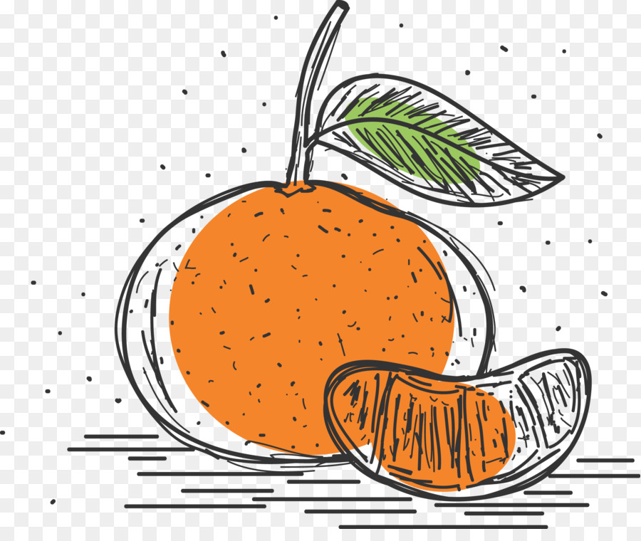 Il mandarino, il Pomelo di Pompelmo, Clementina - Disegnati a mano semplice pompelmo