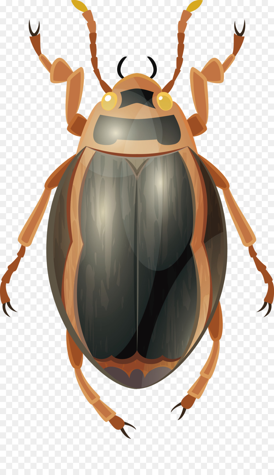 Insetto scarabeo Stercorario - insetto vettore
