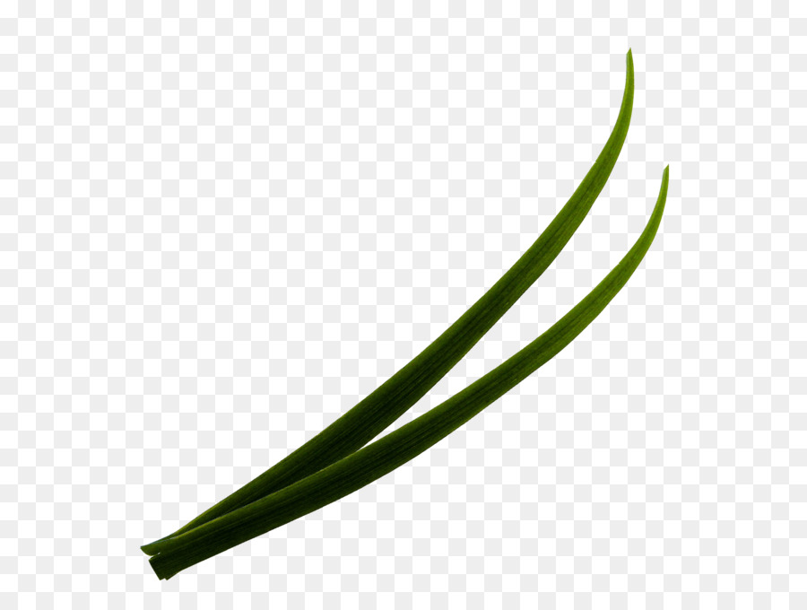 Green Leaf-Winkel - Gras