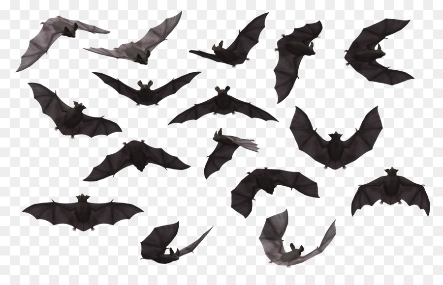 Bat Clip art - Una varietà di posizioni bat silhouette