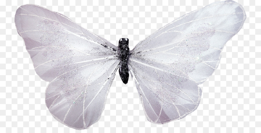 Butterfly Black And White png download - 800*450 - Free Transparent  Butterfly png Download. - CleanPNG / KissPNG