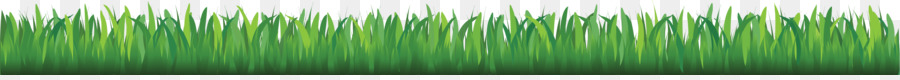 Wheatgrass Angolo Close-up Pattern - erba