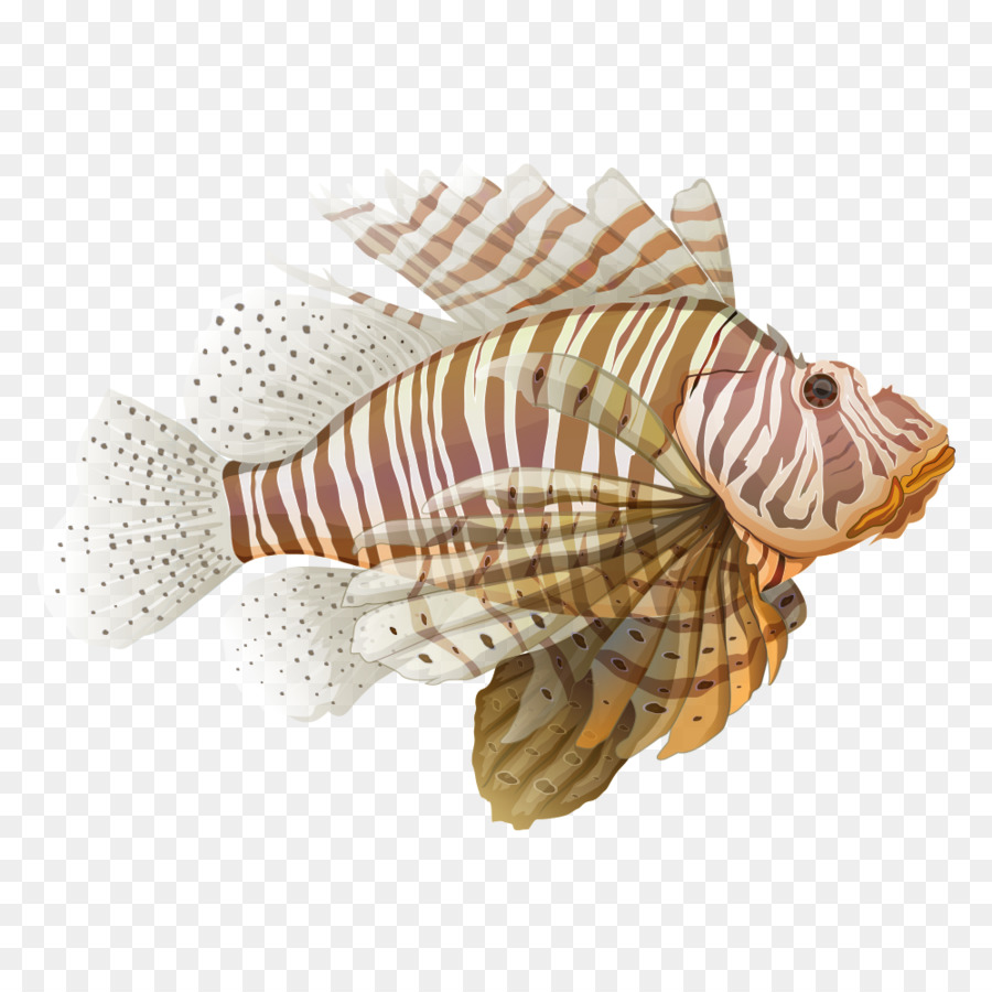 Red Lionfish Seashell