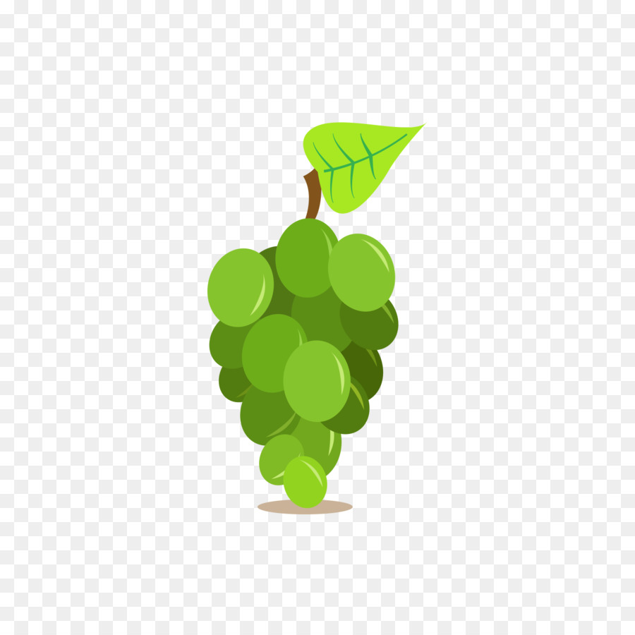 Wein Weinrebe Obst - Ein Bündel von grünen Trauben