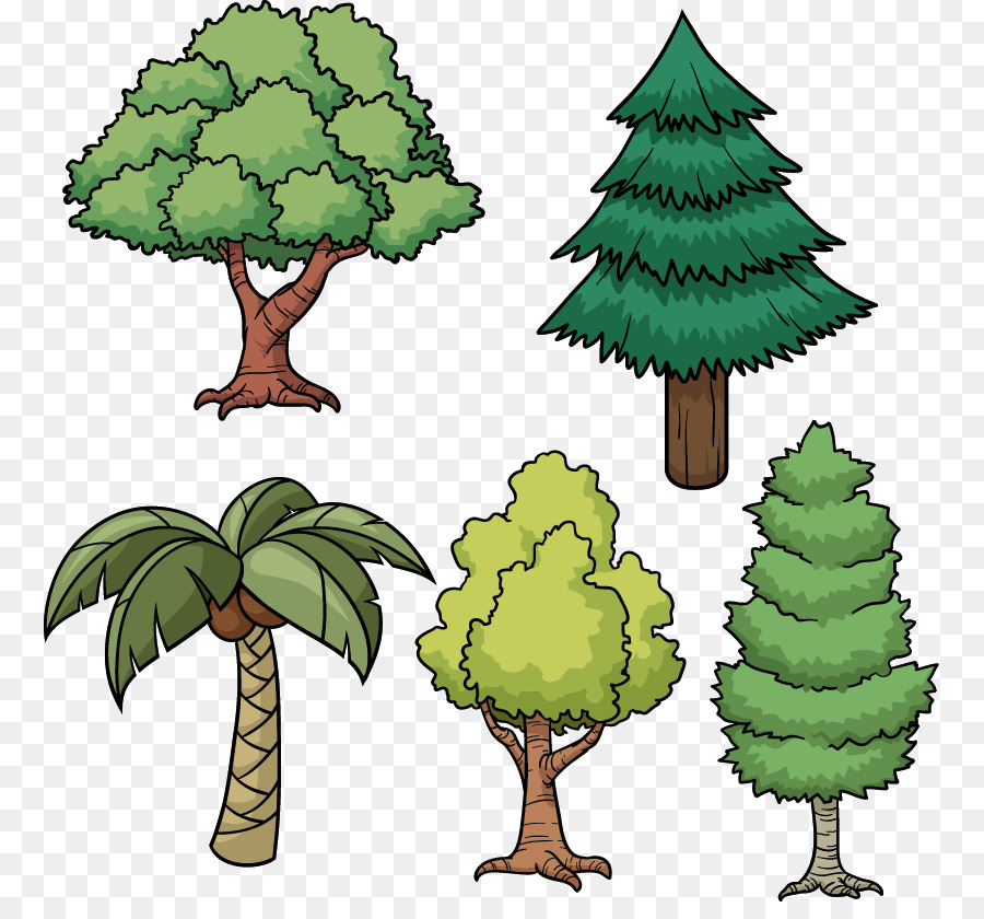 Baum Zeichnung-Cartoon-Kiefer - Malte grüner Baum, Kokosnuss-Baum-Muster