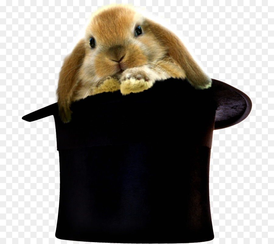 Easter Bunny Rabbit Magic Hats Clip-art - Hut Bunny