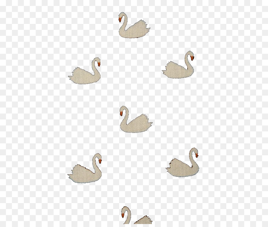 Cygnini Anatra - Il nuoto swan