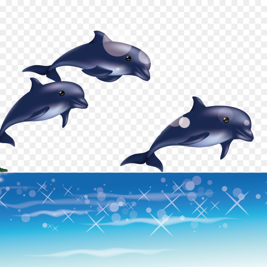 Dolphin Cartoon png download - 1000*1000 - Free Transparent Dolphin png  Download. - CleanPNG / KissPNG