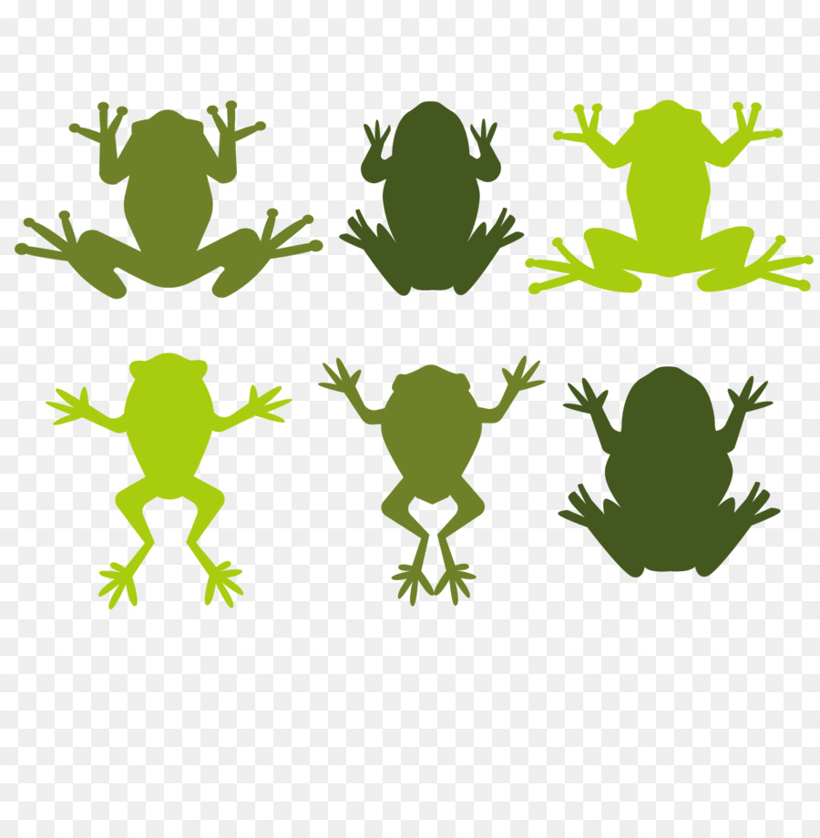 Baum-Frosch-Illustration - Frosch illustrator