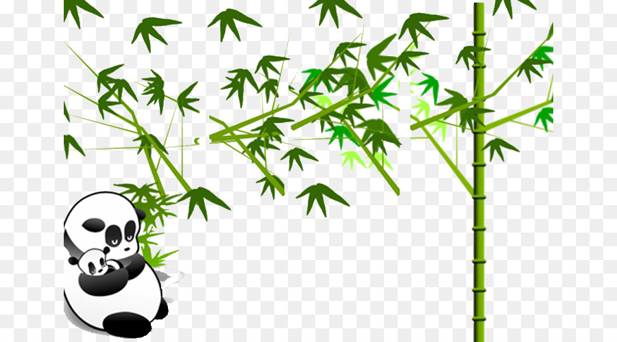 Panda gigante Microsoft PowerPoint Scarica Modello Bamboo - carino panda