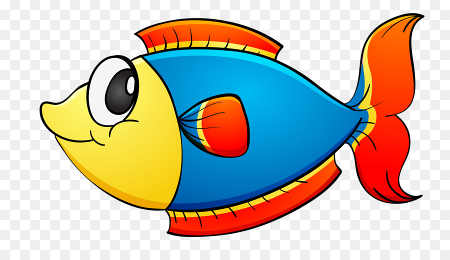 Color Background png download - 800*501 - Free Transparent Fish png  Download. - CleanPNG / KissPNG