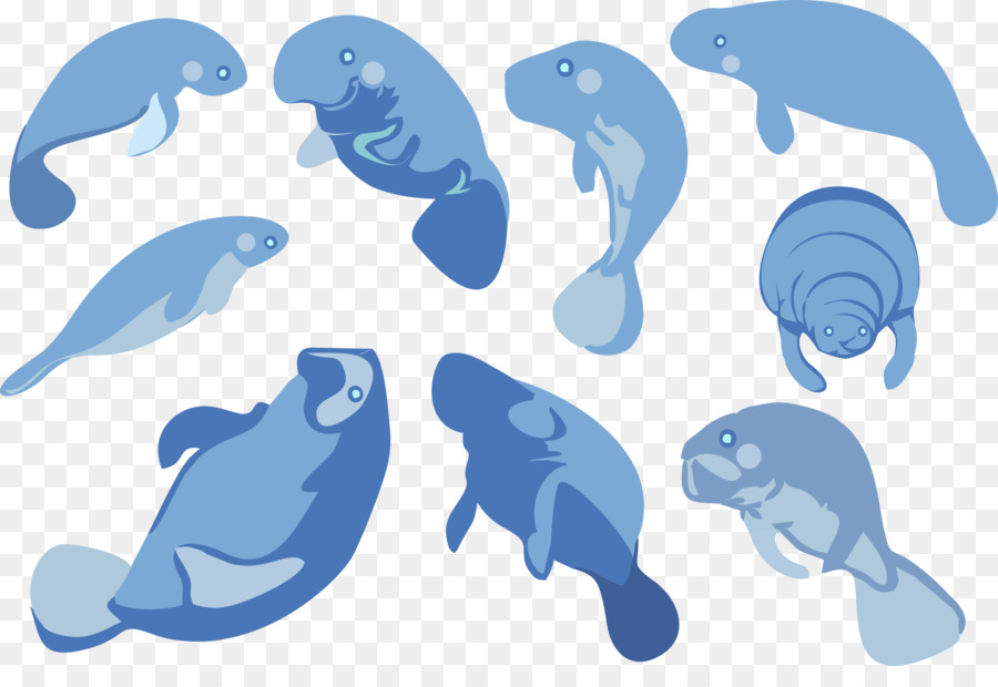 Dolphin Sea Kühe Clip-art - Blaue Siegel