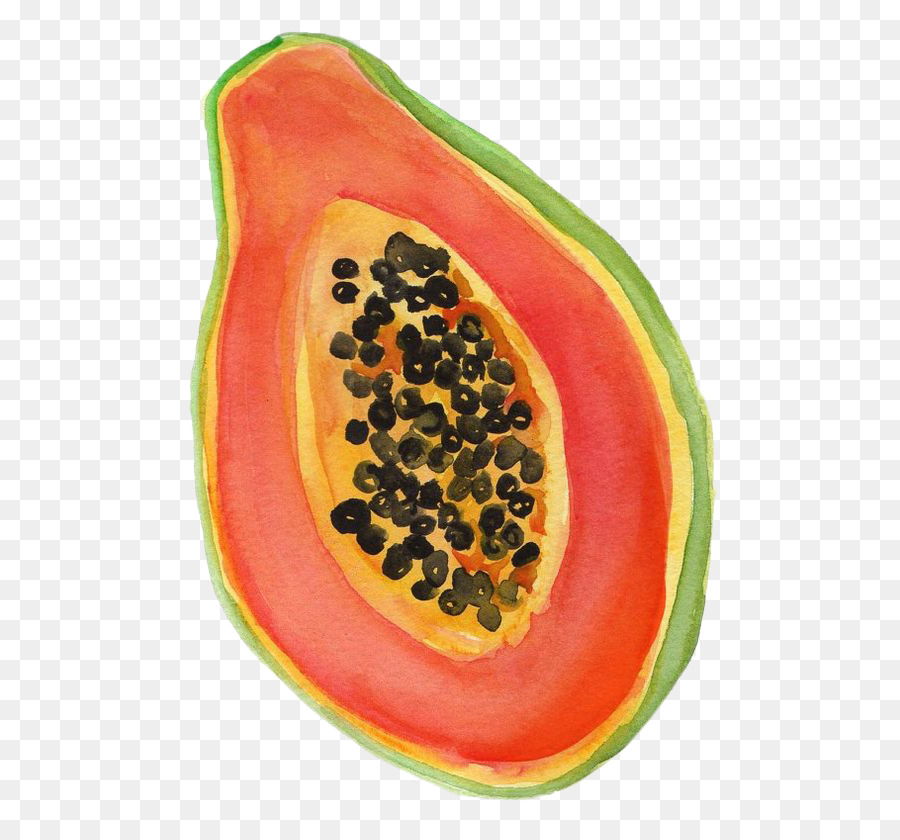 Papaya-Wassermelonen-Zeichnung-Aquarell-Malerei - Von Hand bemalt eine halbe papaya