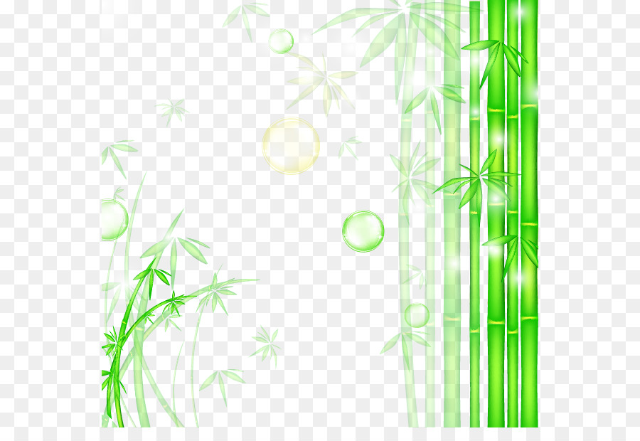 Bamboo Grafik-design Tapeten - Frischer grüner Bambus hintergrund