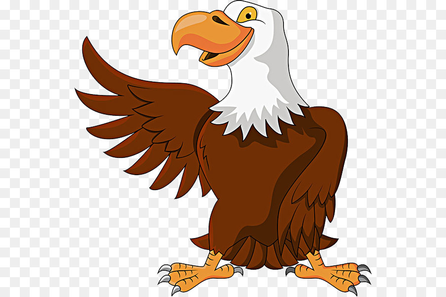 Eagle Drawing png download - 600*599 - Free Transparent Cartoon png  Download. - CleanPNG / KissPNG