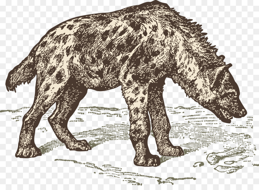 Iena striata iena Maculata di Vetro Adesivo - Solo lupo