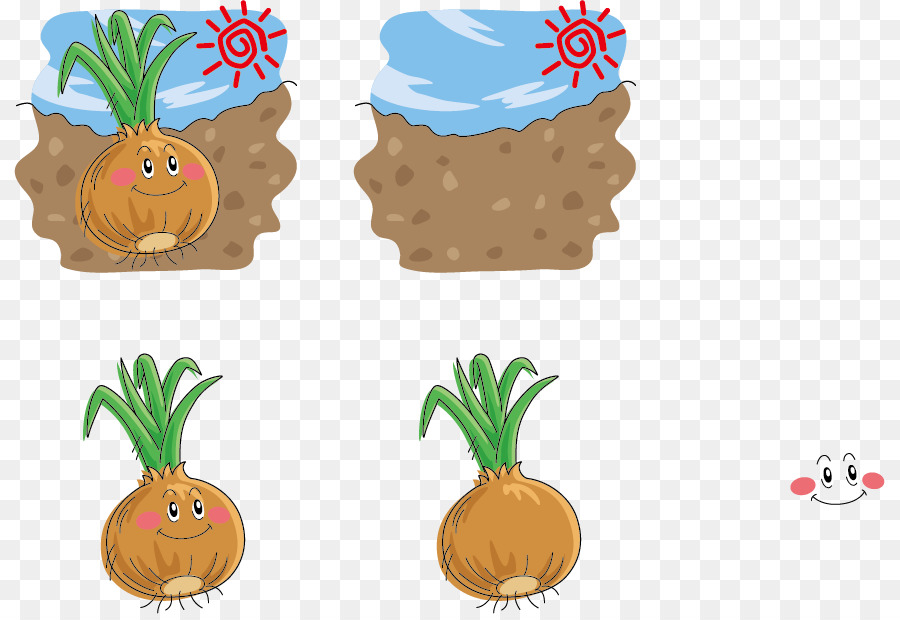 Zwiebel-Eintopf Gemüse-Illustration - Boden Zwiebel expression vector