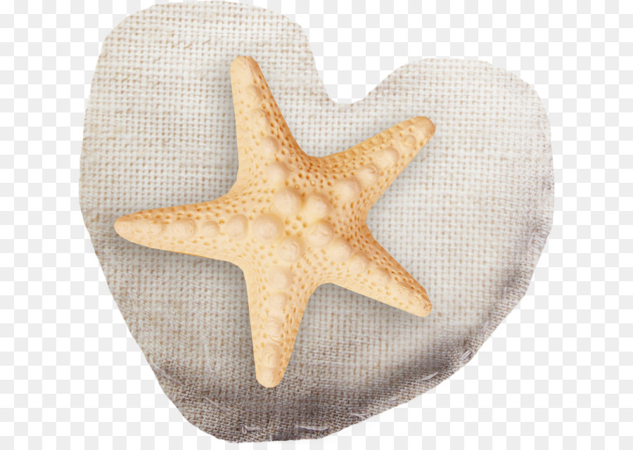 Bulgaria LiveInternet Starfish Clip art - stella marina