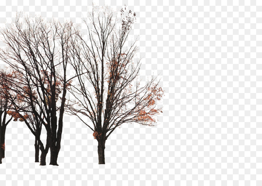 Zweig, Zweig, Baum - Herbst Baum