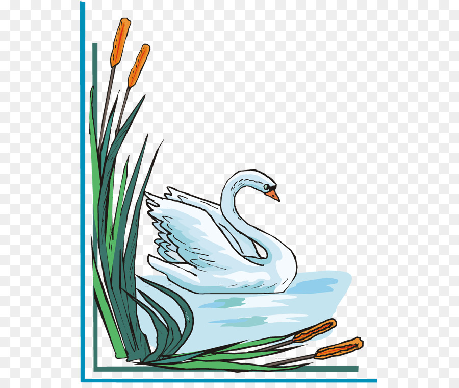 Cygnini Clip Art - White Swan Foto