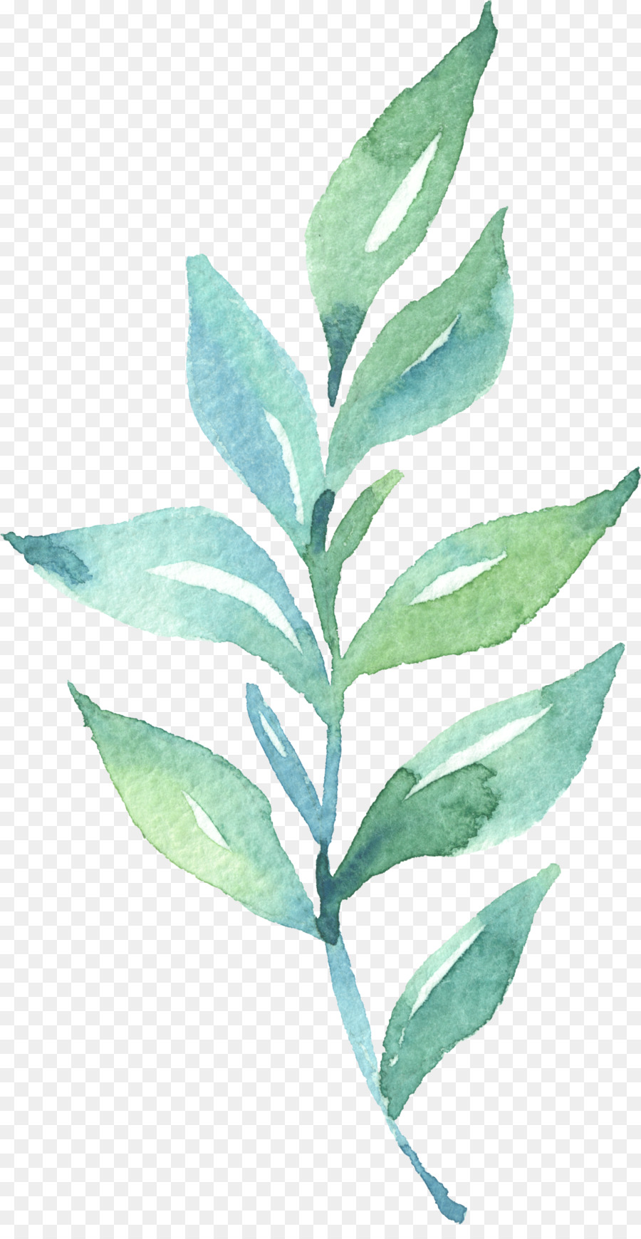 Foglia di pittura ad Acquerello - acquerello foglie
