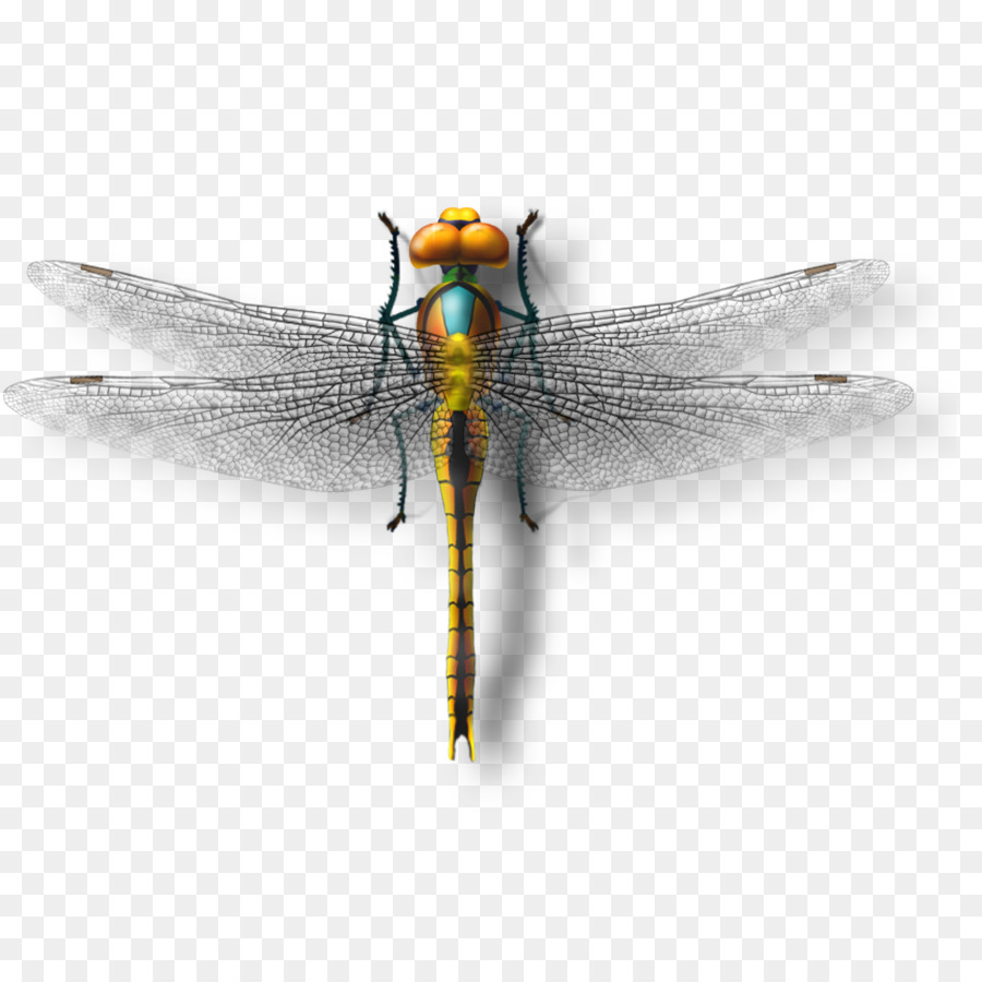 Libelle, Insekt Download - Dragonfly Modell