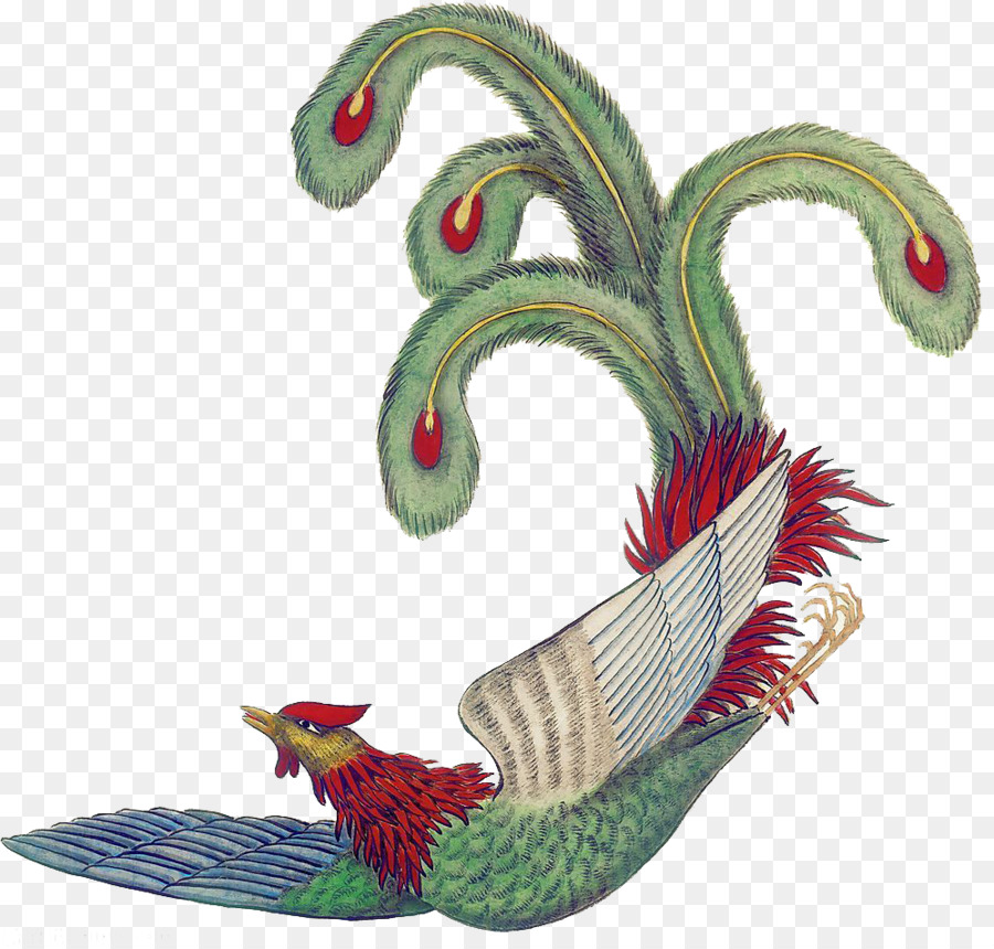 Phượng Hoàng Tải - Màu peacock