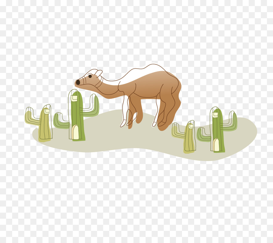 Cammello Disegno, Illustrazione - deserto in cammello