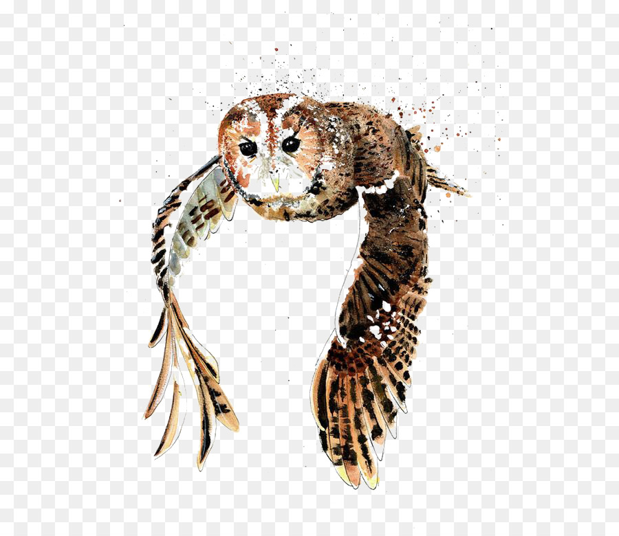 Tawny Eule-Vogel-Zeichnung-Aquarell-Malerei - Aquarell-flying owl