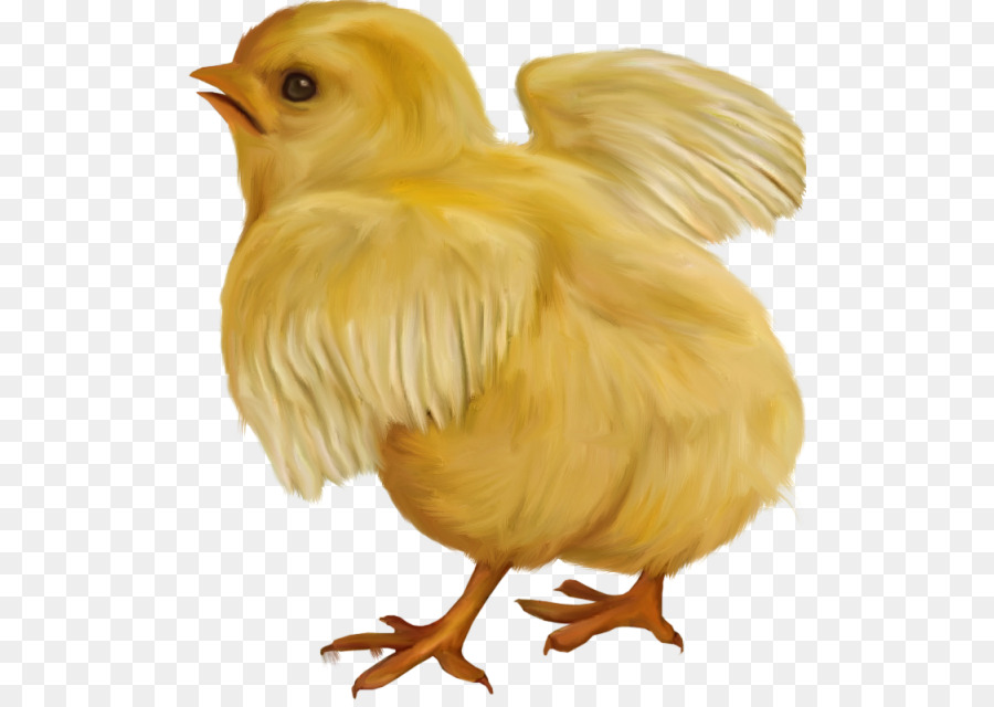 Osterhase Osterei clipart - Huhn