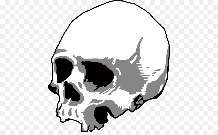 Cranio Silhouette Testa u9ab7u9ac5 - Teschio nero testa di scheletro
