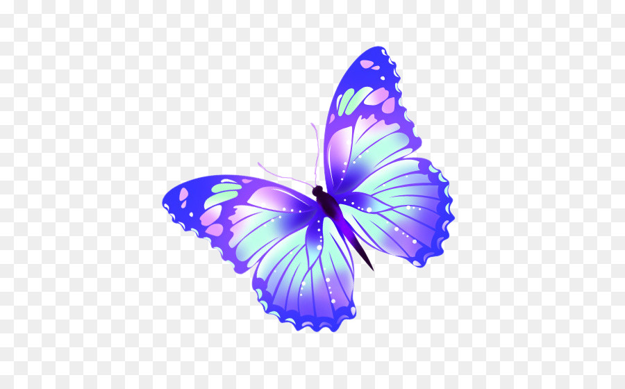 Butterfly - Magic Butterfly